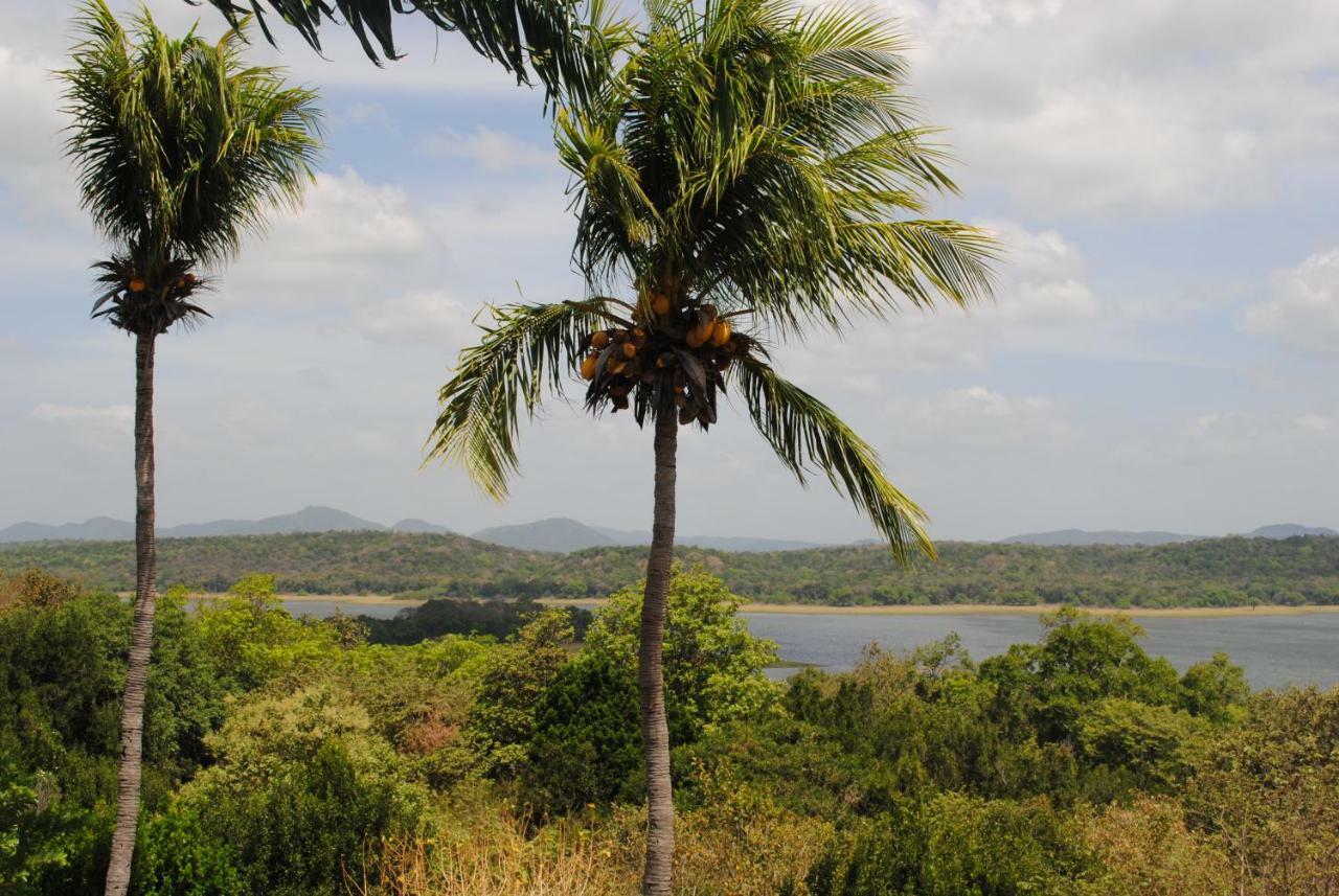 Giritale Hotel Polonnaruwa Exteriör bild
